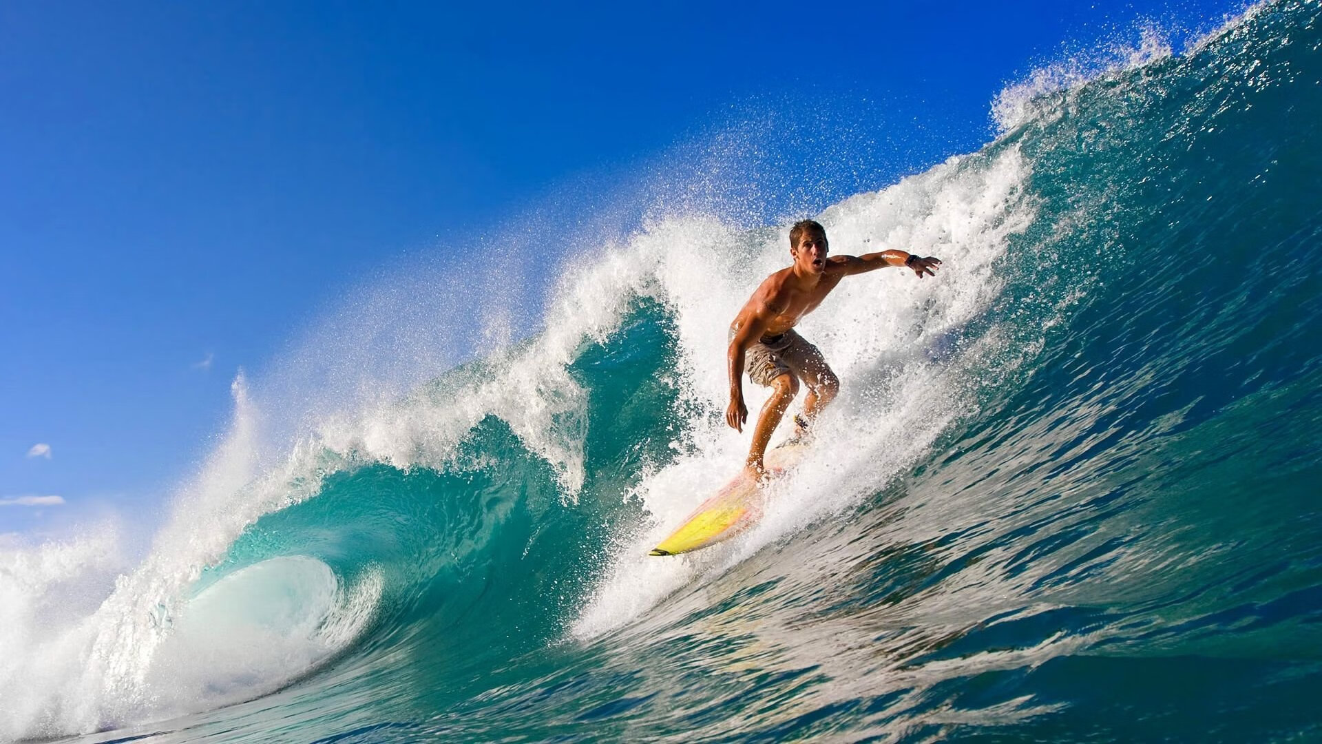 体育赛事品牌塑造与市场推广策略，体育赛事产品